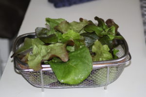 Frischer Salat vom Balkon