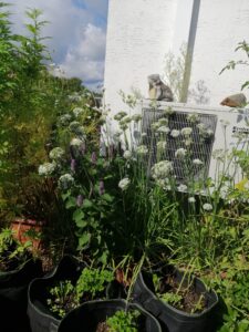 Dachterrasse Rundgang