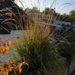 Herbstschönheit